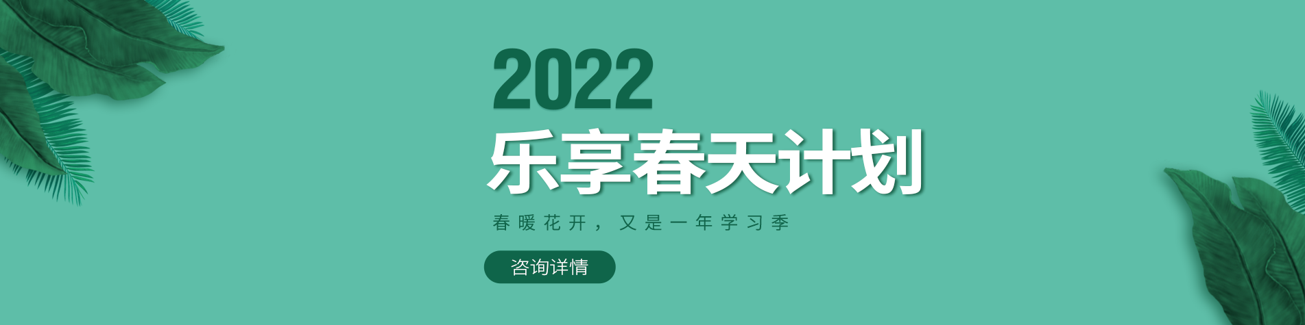 操操逼逼视频网站